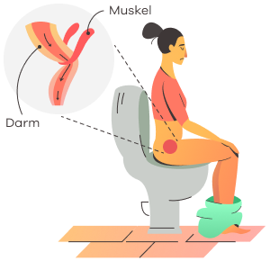 Without Toilet Stool